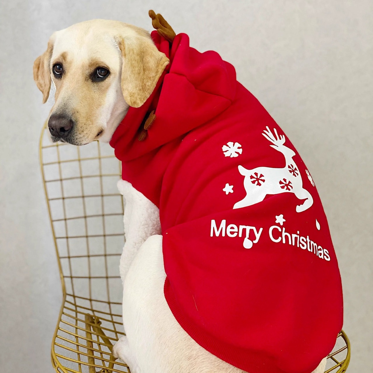 Manufacturers Custom High Qual - Winter Clothing Manufacturers ulasan dan harga