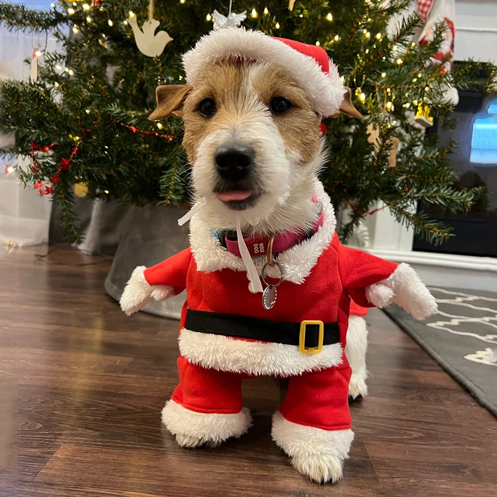 Christmas Clothes For Dogs Cat - Winter Clothing Dress Up ulasan dan harga
